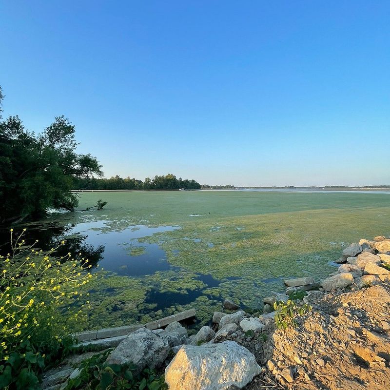 Old Field Beach (Lakeview)