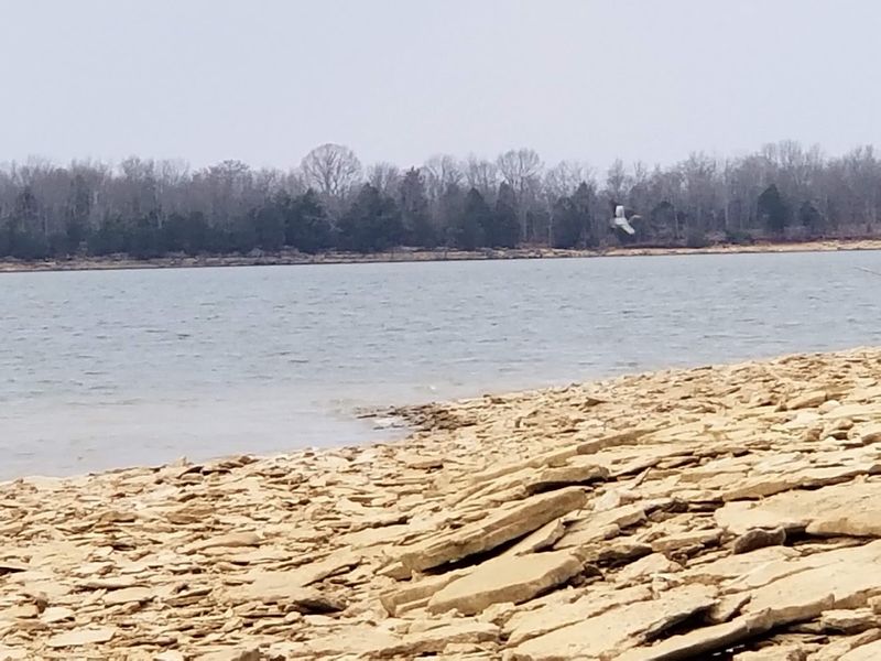 Old Jefferson — near Murfreesboro / Long Hunter State Park