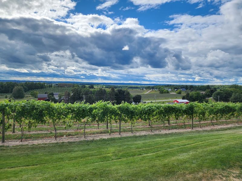 Old Mission Peninsula: The Second Wine Region Along M-22's Southern Arc Old Mission Peninsula: The Second Wine Region Along M-22's Southern Arc