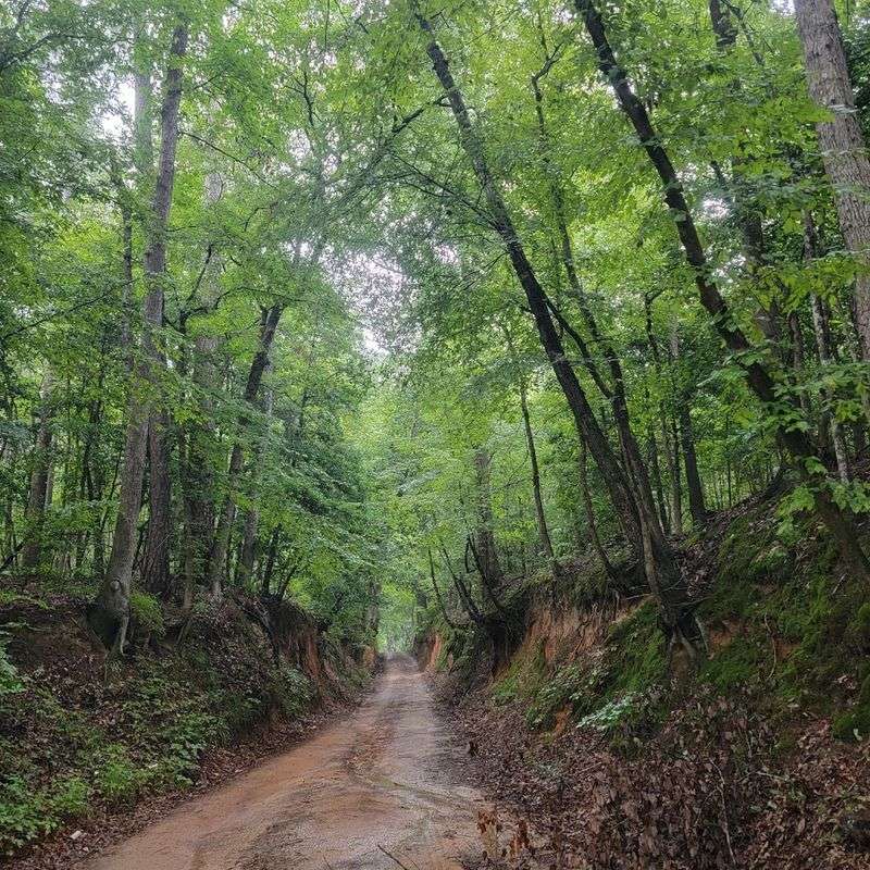 Old Stagecoach Road (Marshall)