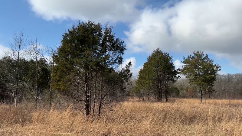 One of Tennessee's Most Unexpected Landscapes Is Hiding in Murfreesboro One of Tennessee's Most Unexpected Landscapes Is Hiding in Murfreesboro