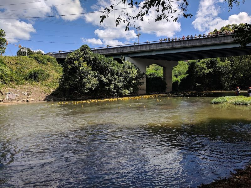Outdoor Spots Around Shelbyville Add Even More Reason to Visit