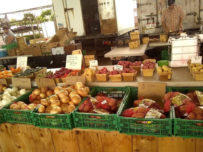 Outdoor Vendor Rows: The Hunt Begins