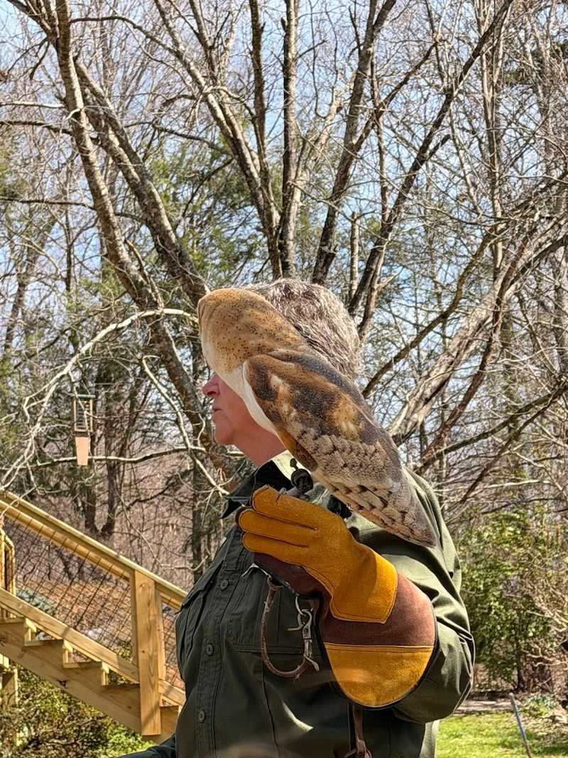 Owl Ridge Raptor Center — Washburn