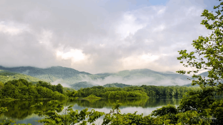Pack a Basket for These 13 Tennessee Picnic Places with Gorgeous Water Views