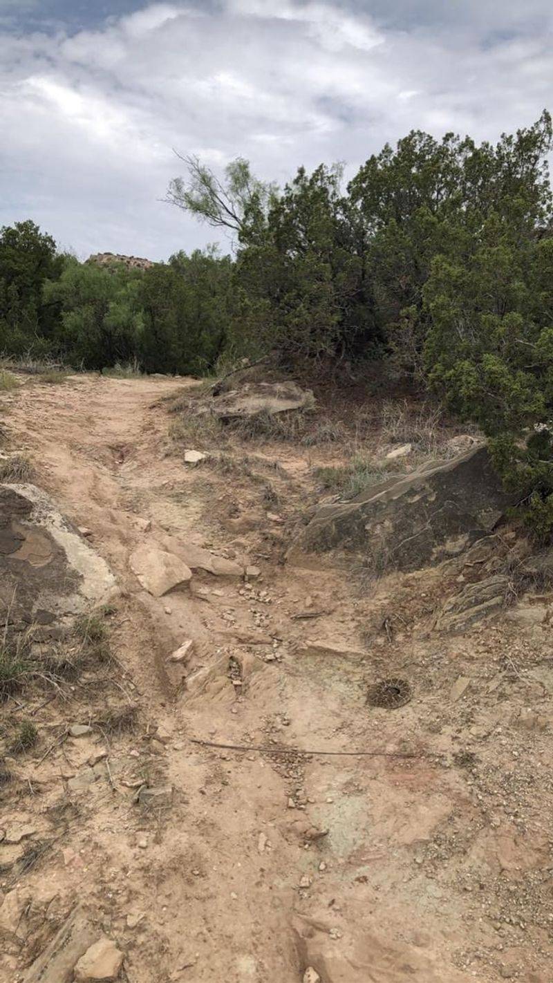 Panhandle Plains & Palo Duro Canyon Panhandle Plains & Palo Duro Canyon