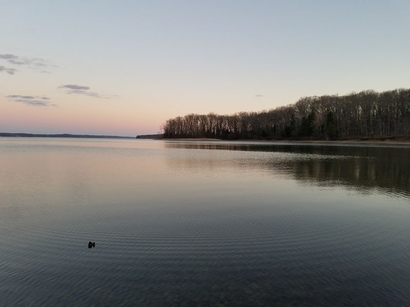 Paris Landing / Kentucky Lake