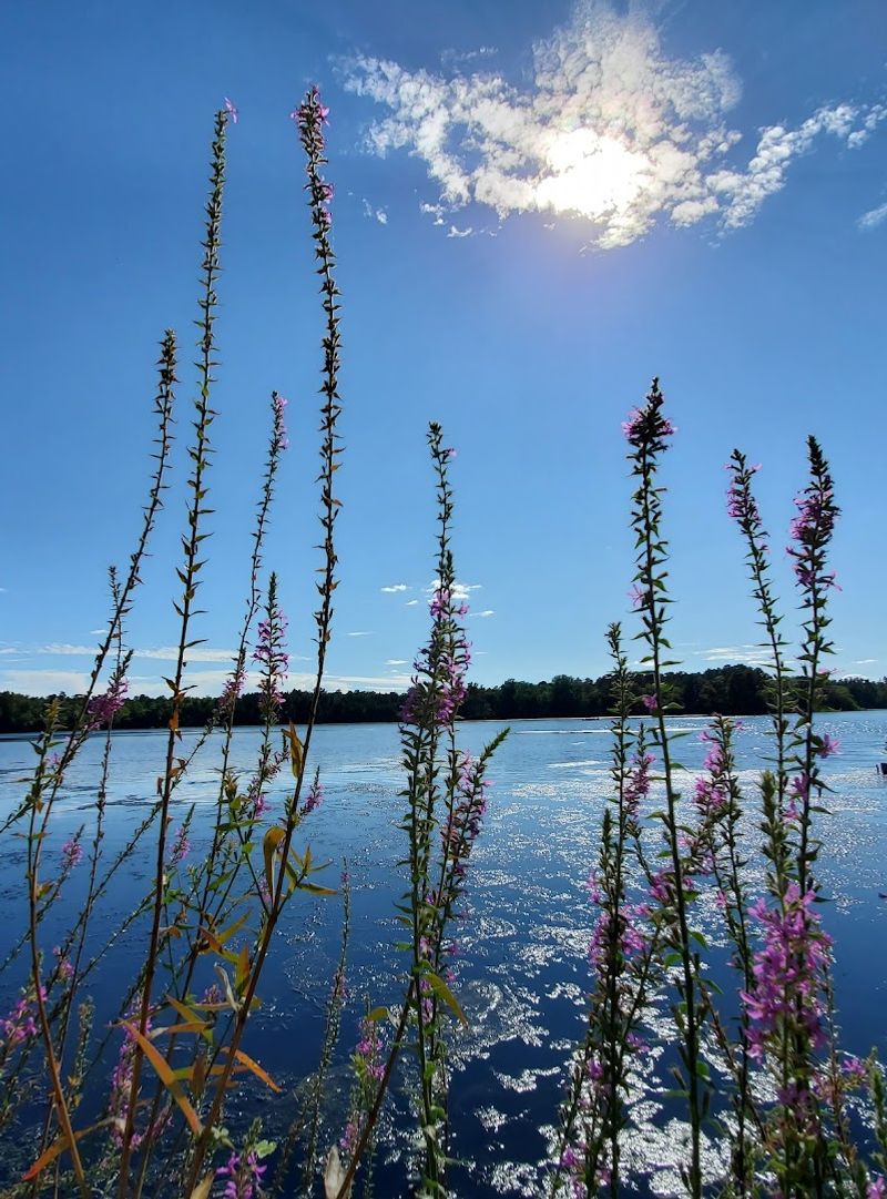 Parvin Lake Parvin Lake