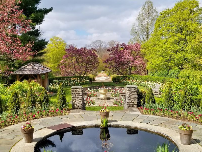 Peacocks, Ponds, And Quiet Paths