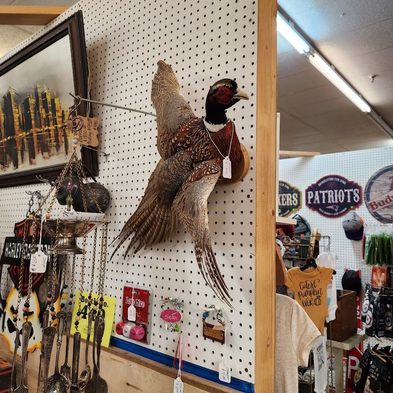 Peddlers Market (Watertown)