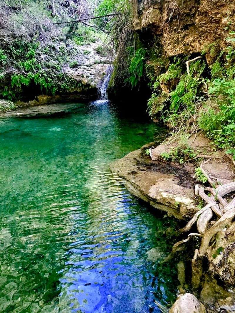 Pedernales Falls State Park (Johnson City Area) Pedernales Falls State Park (Johnson City Area)