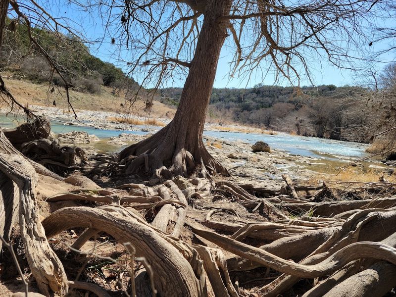 Pedernales Falls State Park (Johnson City)