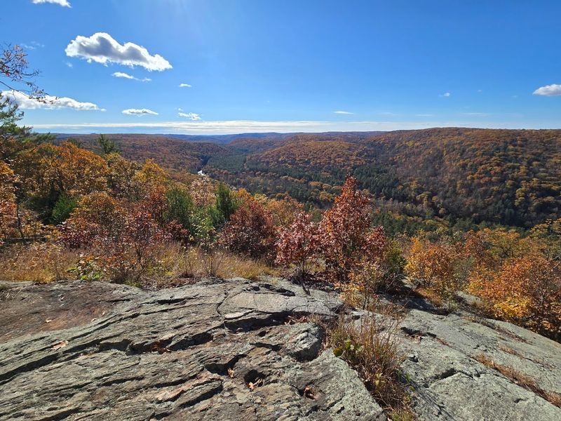 People come here for the forests, then stay for the trails