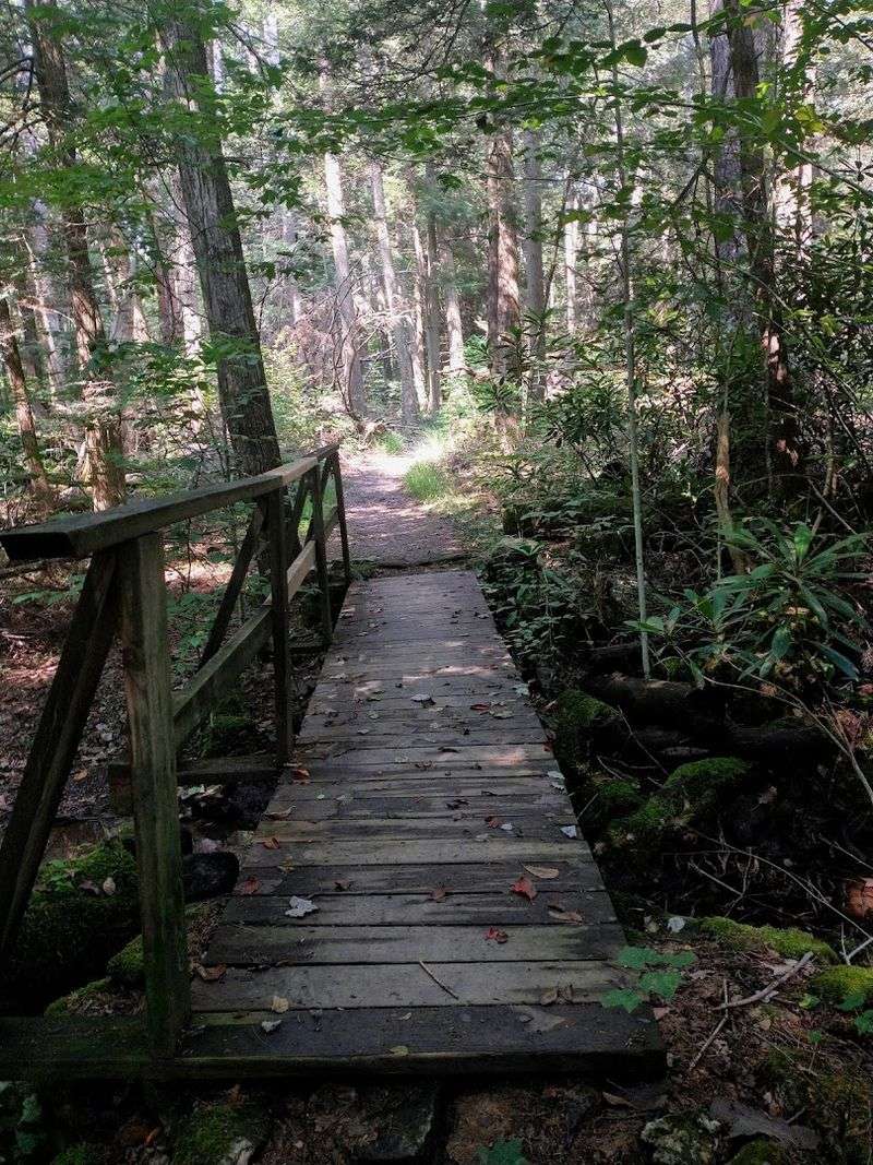 Perfect For Families And Beginner Hikers Perfect For Families And Beginner Hikers