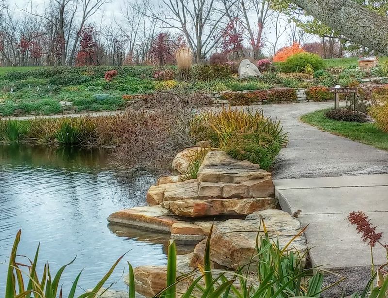 Perfect For Photos, Picnics, And Quiet Moments