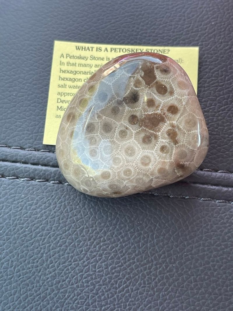 Petoskey Stones: The World's Most Satisfying Treasure Hunt