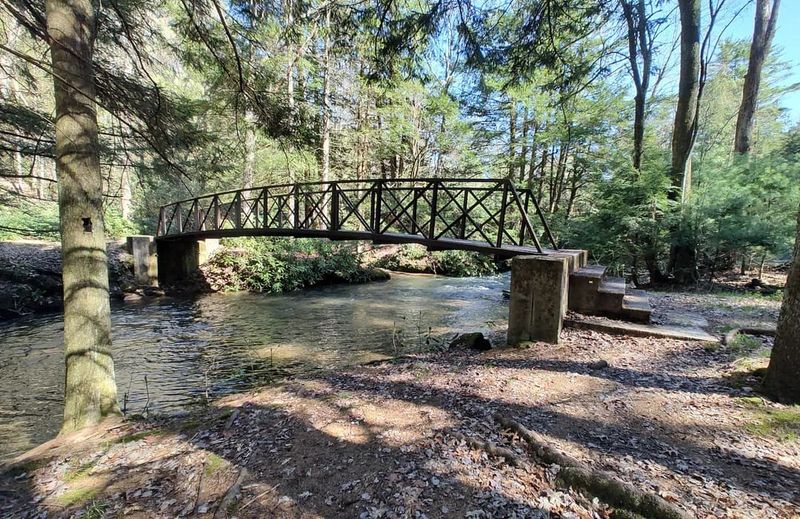 Phyllis Run Loop Trail