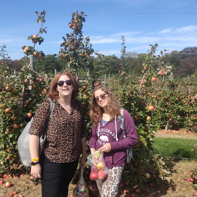 Pick your own fruit across the farm’s orchards and fields