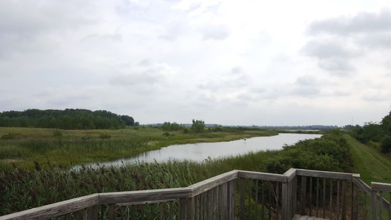 Pickerel Creek Wildlife Area, Vickery, Ohio Pickerel Creek Wildlife Area, Vickery, Ohio