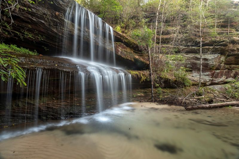 Pickett CCC Memorial State Park — Jamestown