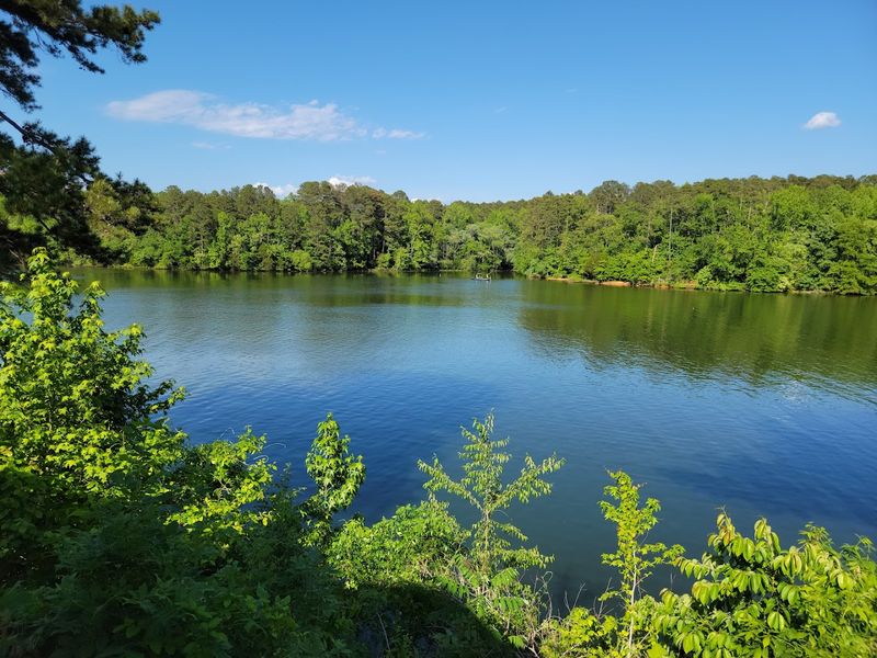 Pickwick Landing State Park — Counce