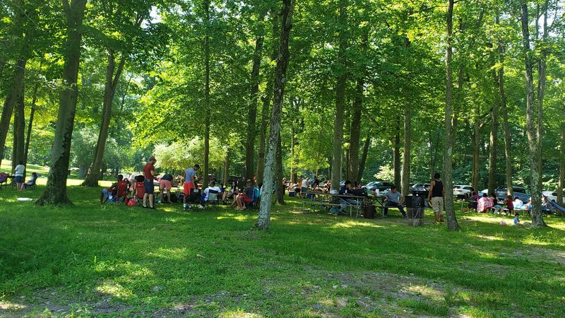 Picnics, Grills, and Shade Turn It Into an All-Day Hangout Picnics, Grills, and Shade Turn It Into an All-Day Hangout