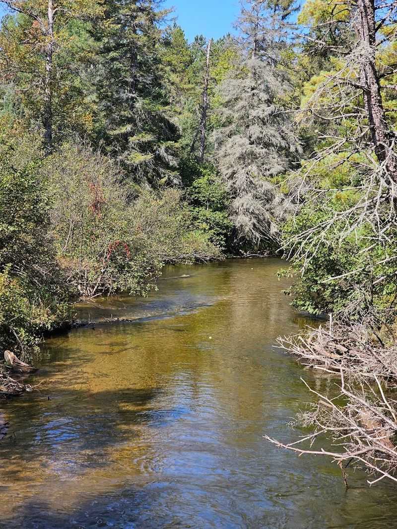 Pigeon River State Forest Campground