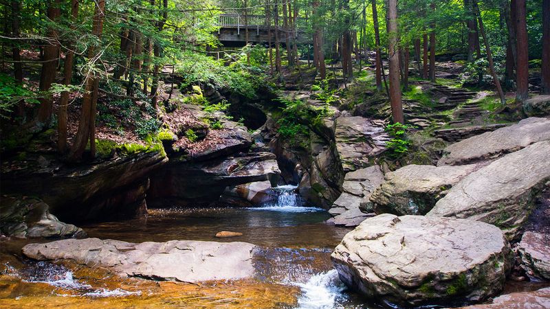 Pinchot State Forest