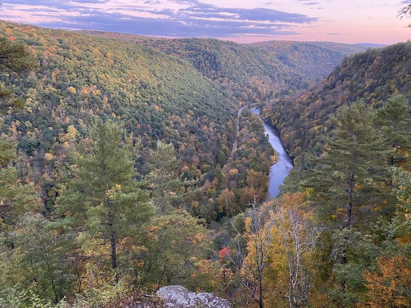 Pine Creek Gorge