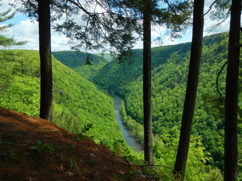 Pine Creek (PA Grand Canyon area)