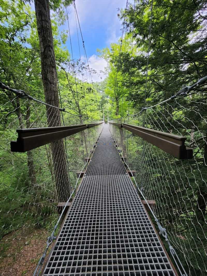 Plan The Perfect Visit