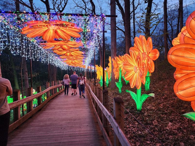 Planning Your 2026 Lantern Festival Visit