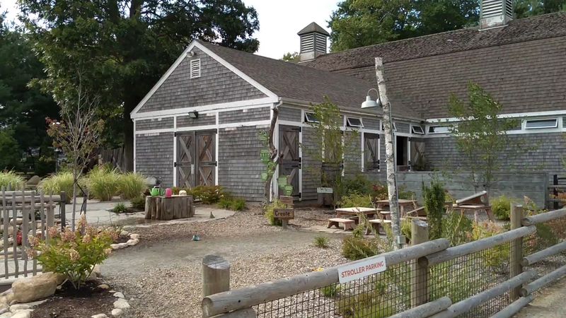 Planning Your Visit to Buttonwood Park Zoo
