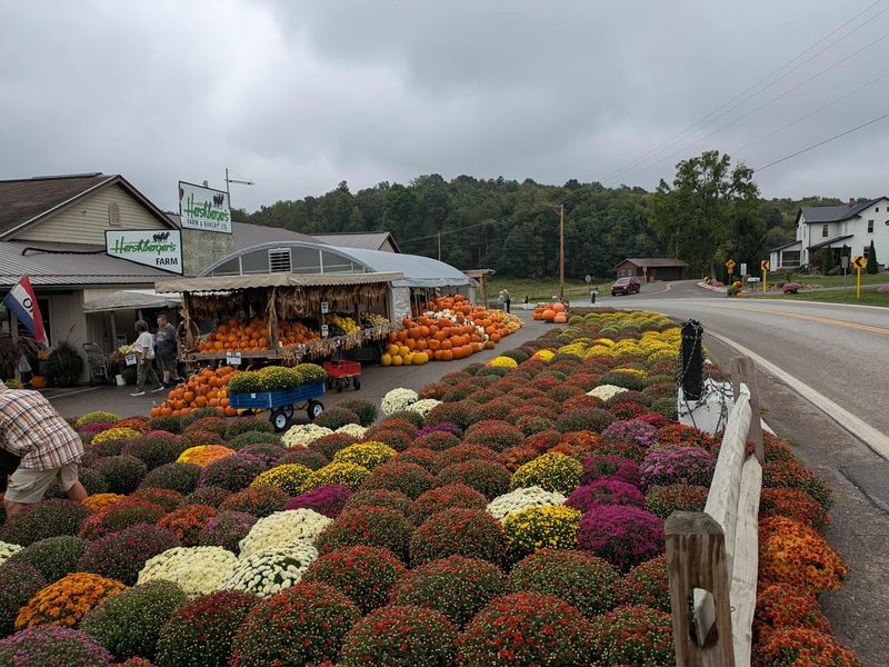 Planning your visit to Hershberger’s Farm and Bakery