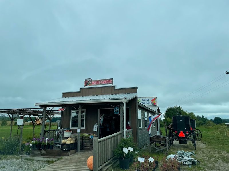 Pleasant Valley Amish Market – Manton, MI Pleasant Valley Amish Market – Manton, MI