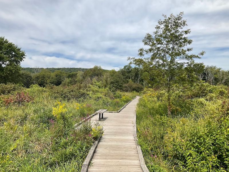 Pochuck Boardwalk