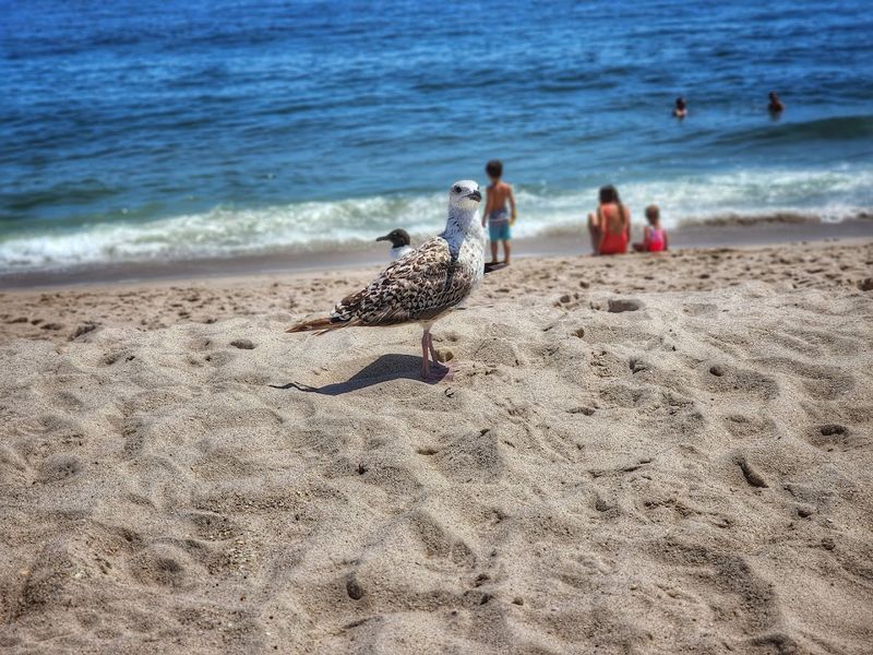 Point Pleasant Beach