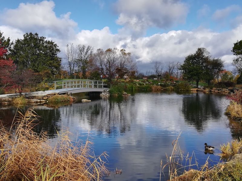 Ponds, Bridges, And Peaceful Water Views