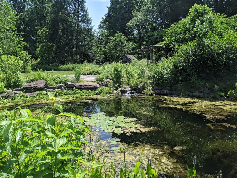 Ponds, frogs, turtles, and dragonflies add life everywhere