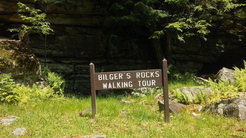 Practical Details for Planning a Visit