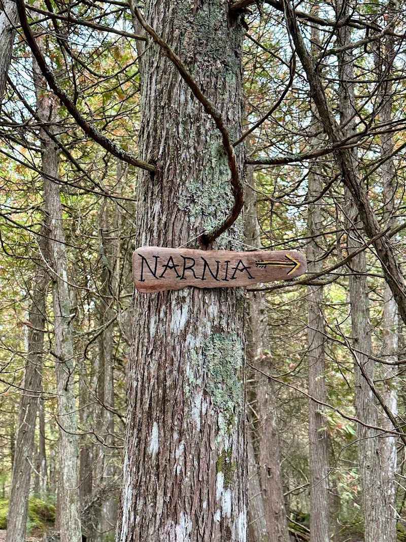 Practical Tips for Visiting the Narnia Trail