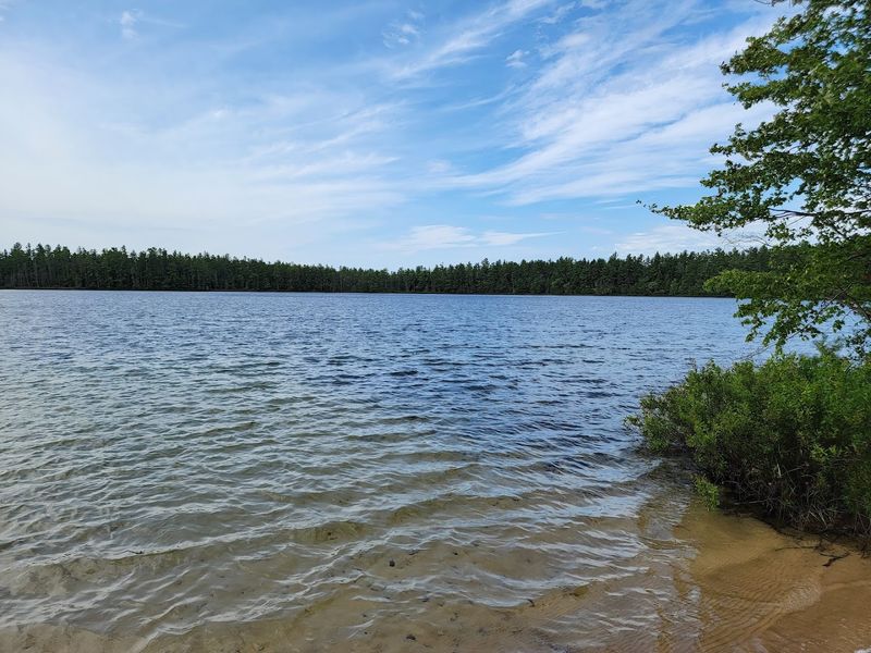 Pretty Lake State Forest Campground