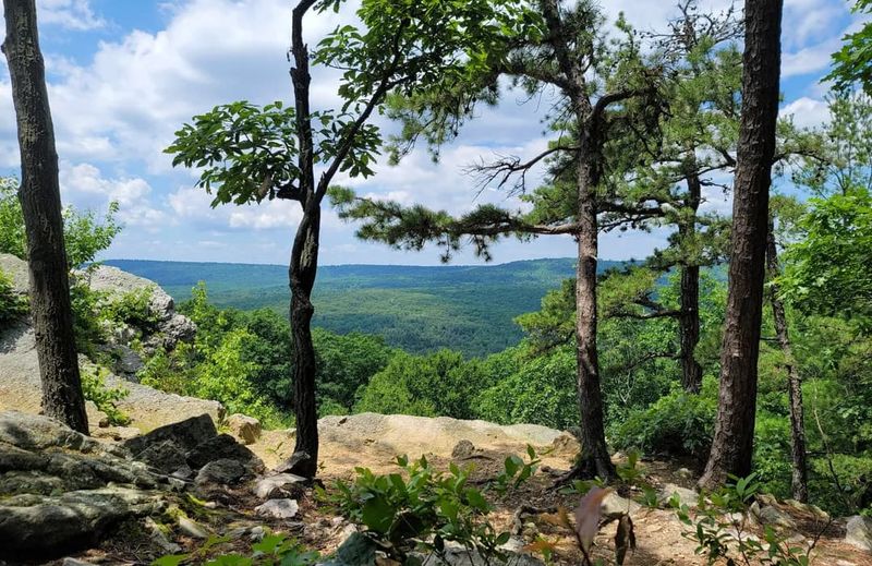 Primitive Campsites Near Pole Steeple, Michaux State Forest