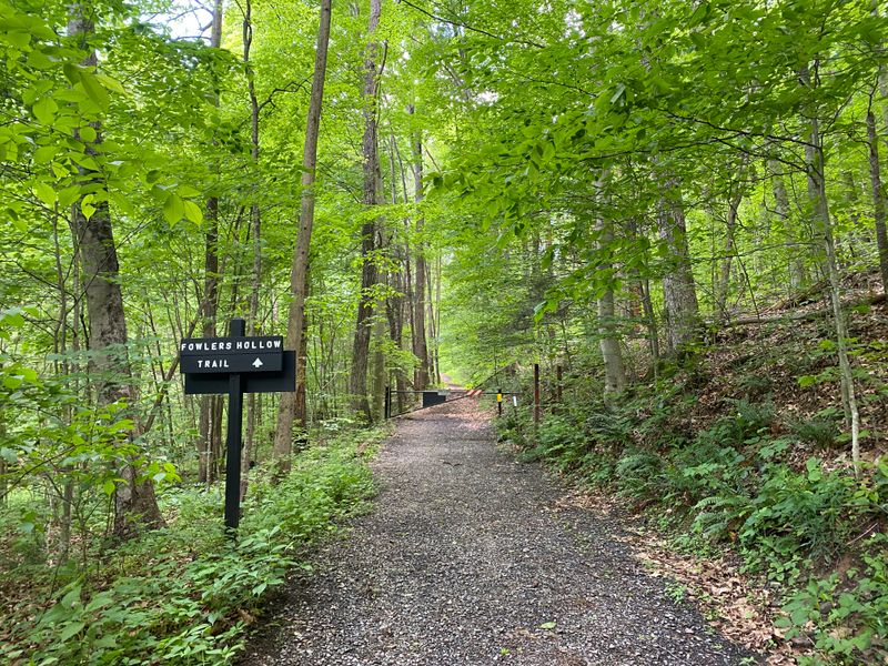 Primitive Sites Along the Mid State Trail, Tuscarora State Forest
