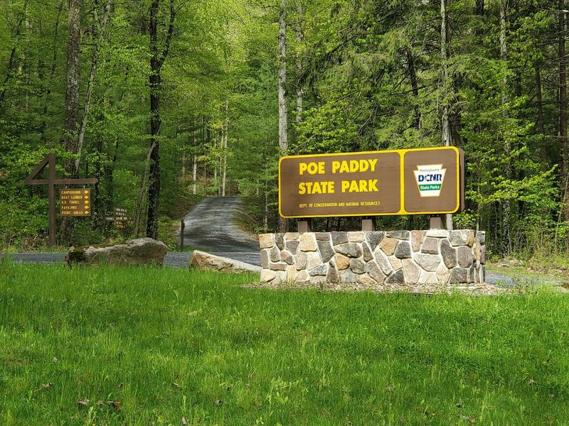 Primitive Sites Near Poe Paddy Drive, Bald Eagle State Forest