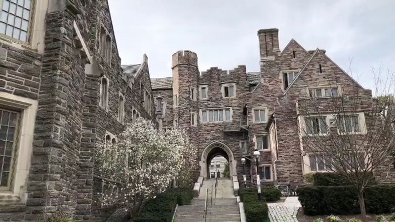 Princeton