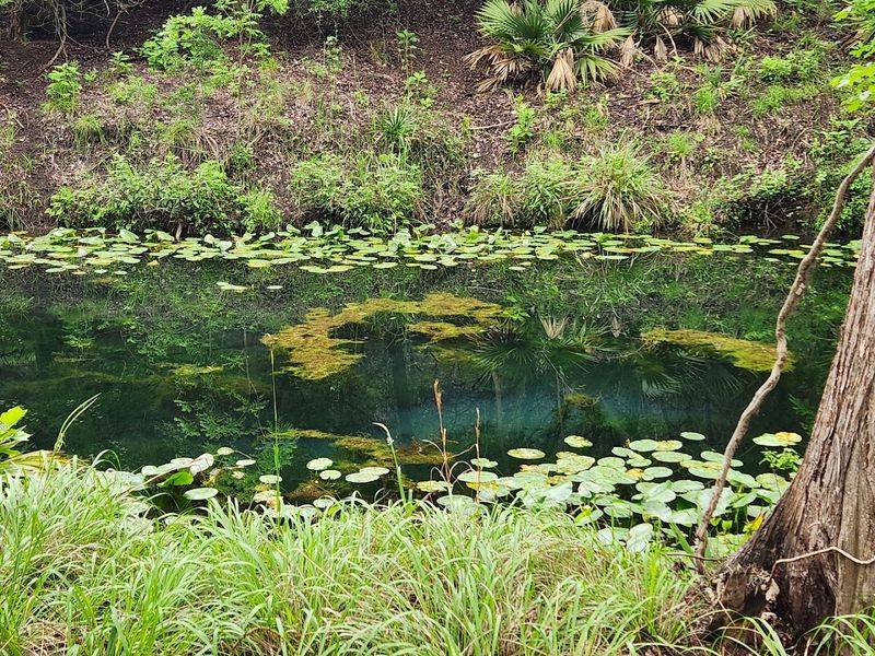 Pristine Creek Worth the Wait Pristine Creek Worth the Wait