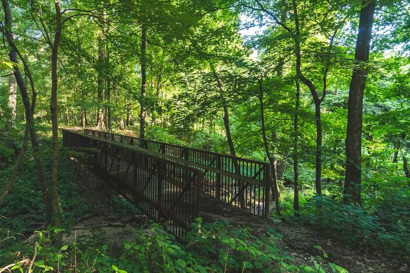 Beall Woods State Park