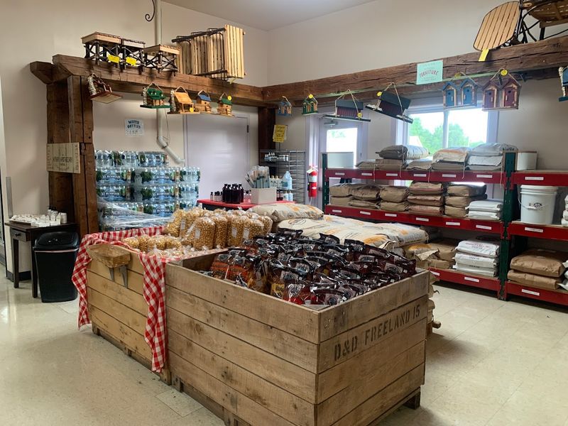 Why the Store Feels So Different