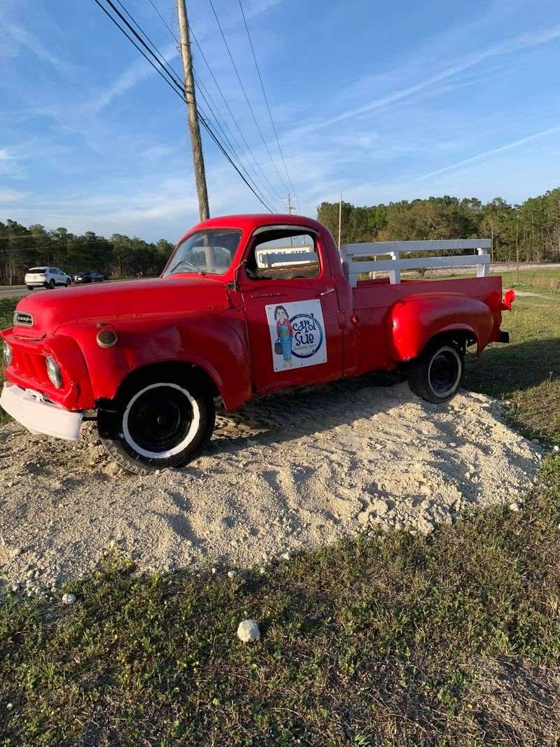Carol Sue Blueberry Farm (Angier)